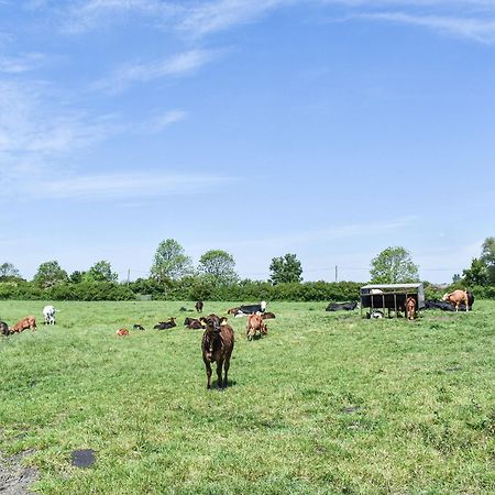 אילי Green Acre Farm מראה חיצוני תמונה